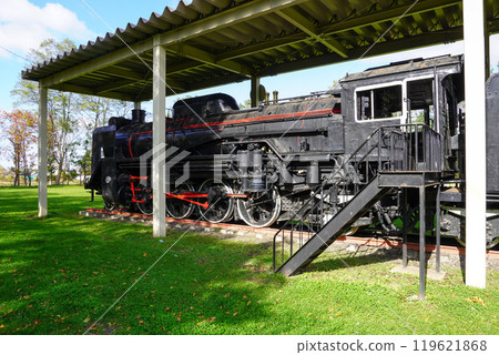 D51 159 (Iwanai Sports Park, Iwanai Town, Hokkaido) 119621868