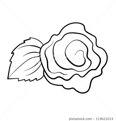 Floral silhouette art line. Flowers in continuous line drawing style. Border with tropical flower. Minimalist black linear sketch. Trendy vector illustration isolated. Contour graphics for design Floral silhouette art line. Flowers in continuous line drawing style. Border with tropical flower. Minimalist black linear sketch. Trendy vector illustration isolated. Contour graphics for design 119622014