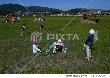 Landscape with Kakashi 119622049