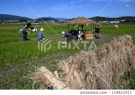 Landscape with Kakashi 119622051