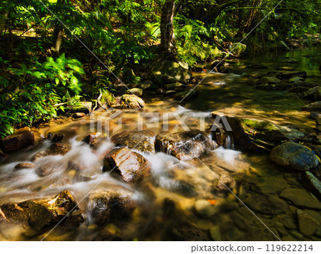 Ogimi Village, Okinawa Prefecture, Hiraminami River on the way to Ta-taki Falls 119622214