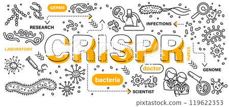 CRISPR-Cas9 . Biotechnology and genetic engineering concept . Word with line icon art banner style . Editable stroke . Vector . 119622353
