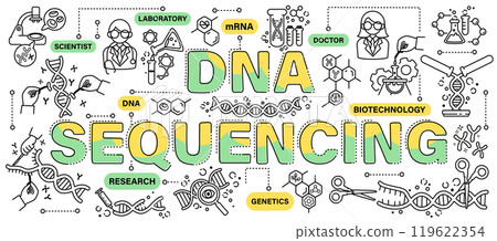 DNA sequencing . Biotechnology and genetic engineering concept . Word with line icon art banner style . Editable stroke . Vector . 119622354