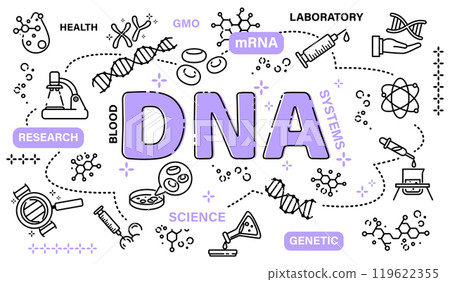 DNA word with line icon art banner style . Editable stroke . Vector . 119622355