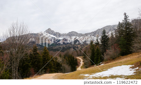 Winter Landscape With Pine Forest And Snow-capped Mountains In Europe. 119622472