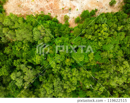 Aerial view Tropical Rainforest trees mountains,Top view green forest background 119622515