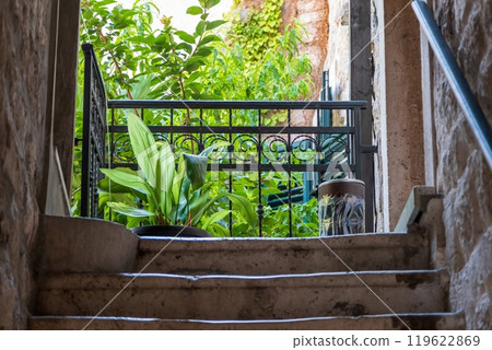 Stone staircase leading to a lush garden terrace 119622869