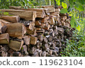 Stack of chopped firewood in forest close-up 119623104