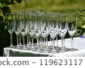 Row of Empty Champagne Glasses Outdoors 119623117
