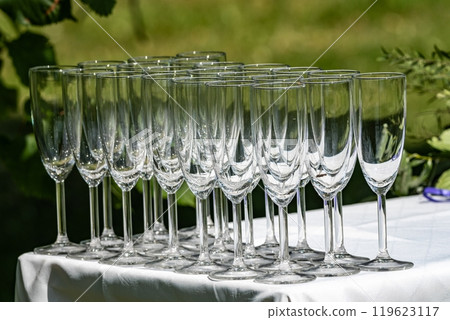 Row of Empty Champagne Glasses Outdoors 119623117