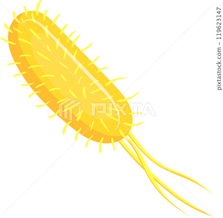 Salmonella bacteria with flagella and pili cause food poisoning symptoms like gastroenteritis, diarrhea, vomiting, and fever. Learn about microbiology and stay safe from these harmful germs Salmonella bacteria with flagella and pili cause food poisoning symptoms like gastroenteritis, diarrhea, vomiting, and fever. Learn about microbiology and stay safe from these harmful germs 119623147