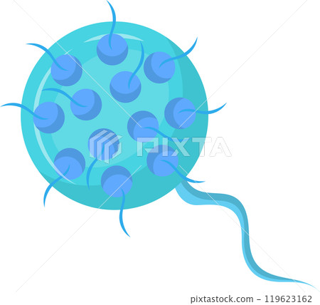 Chlamydia trachomatis bacteria showing elementary bodies, which are infectious, and reticulate bodies, which are the reproductive form of the bacteria, causing sexually transmitted infections Chlamydia trachomatis bacteria showing elementary bodies, which are infectious, and reticulate bodies, which are the reproductive form of the bacteria, causing sexually transmitted infections 119623162