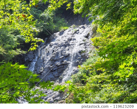 靜岡縣修善寺旭瀧 八月 119623209