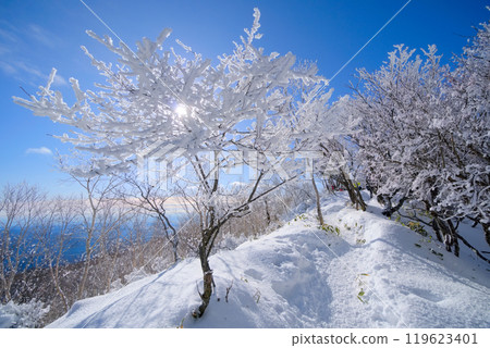 The ridges of Mount Akagi and Mount Kurohiyama, with their beautiful frost 119623401