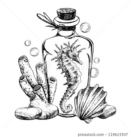 Seahorse, shell sponge inside glass bottle jar with cork sea pebbles and water bubbles. Hand drawn graphic illustration in black and white color line art. Sublimation arrangement on marine theme 119623507