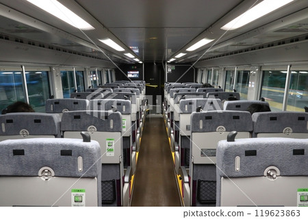 [JC] Chuo Rapid Line E233 Series Green Car (1F seats: inside the train) 119623863