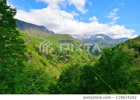 鮮綠秋山鄉(新潟縣) 鮮綠秋山鄉(新潟縣) 119624202