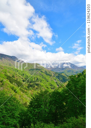 鮮綠秋山鄉（新潟縣） 119624203