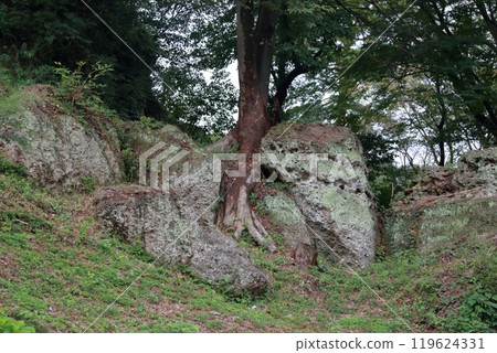 栃木縣大谷博物館 栃木縣大谷博物館 119624331