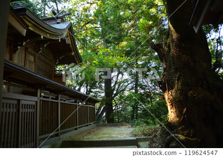 Tono Shrine, located in Juo-cho, Hitachi City, Ibaraki Prefecture 119624547
