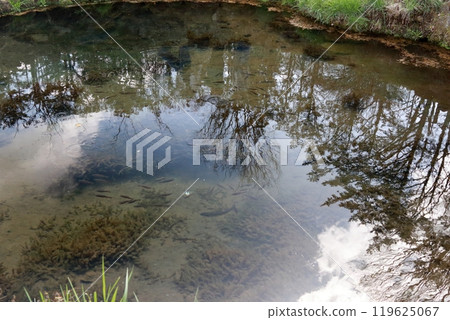 Oshino Hakkai, Yamanashi Prefecture Oshino Hakkai, Yamanashi Prefecture 119625067