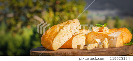 Traditional alpine cheese platter of the Alps with hard cheese. wooden plate with cheese served outside. Long banner. copy space Traditional alpine cheese platter of the Alps with hard cheese. wooden plate with cheese served outside. Long banner. copy space 119625334