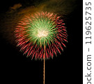 Fireworks that spread to the night sky 119625735