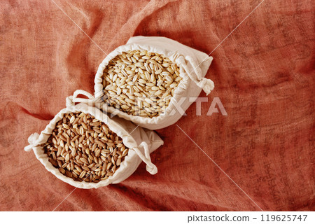 Grains of  pearl barley  and spelt 119625747