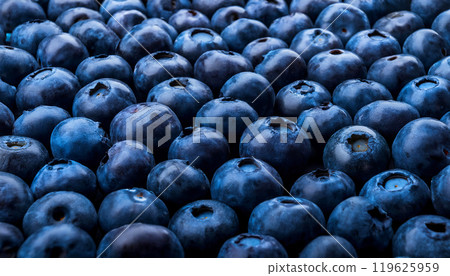 Lots of blueberries Lots of blueberries 119625959