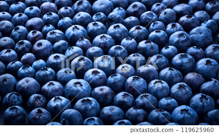 Lots of blueberries Lots of blueberries 119625960