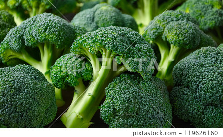新鮮蔬菜西蘭花 新鮮蔬菜西蘭花 119626160
