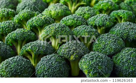 新鮮蔬菜西蘭花 新鮮蔬菜西蘭花 119626163