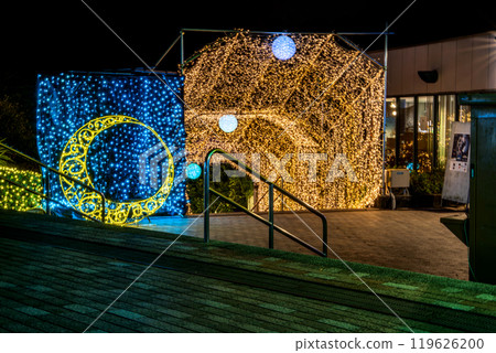 The glittering illuminations at Hamamatsu Fruit Park Tokinosumika (Shizuoka Prefecture) 119626200