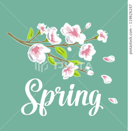 Sakura blossom. Cherry branch with flowers, bud. Spring lettering. 119626287