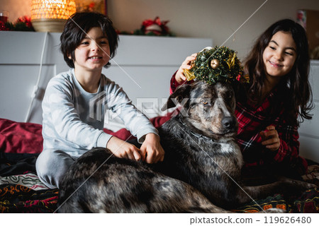 portrait of dog lying on the bed next to two little girls sitting behind in pyjamas portrait of dog lying on the bed next to two little girls sitting behind in pyjamas 119626480