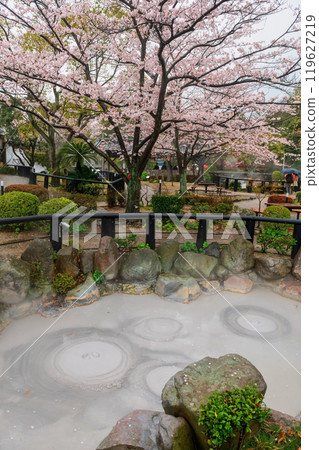 Oniishibozu Jigoku hot spring with sakura cherry tree bloom, Beppu Oniishibozu Jigoku hot spring with sakura cherry tree bloom, Beppu 119627219