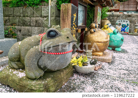 Frog statues with falling white cherry leaf at Nyoirinji Temple, Ogori 119627222