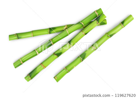 Green bamboo isolated on white background. Top view. Flat lay 119627620