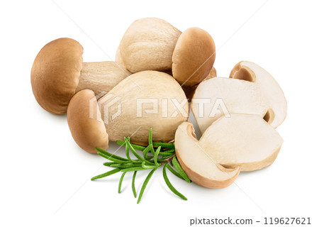 Fresh porcini cep mushroom isolated on white background with full depth of field Fresh porcini cep mushroom isolated on white background with full depth of field 119627621