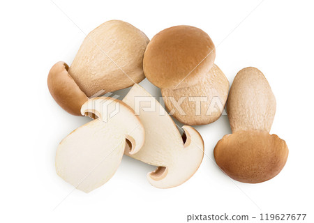 Fresh porcini cep mushroom isolated on white background. Top view. Flat lay. 119627677