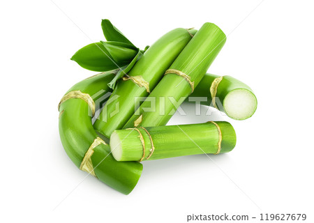 Green bamboo with leaves isolated on white background with full depth of field 119627679
