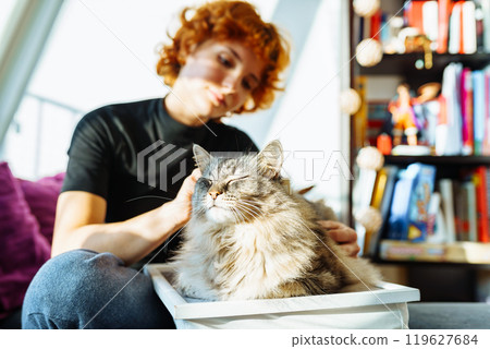 domestic cat grooming domestic cat grooming 119627684