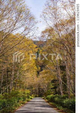 Awa Pass: Beautiful Autumn Scenery (Old National Route 158) 119628405