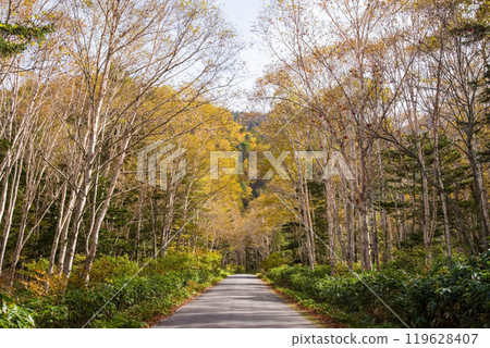 Awa Pass: Beautiful Autumn Scenery (Old National Route 158) 119628407