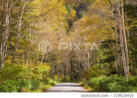 Awa Pass: Beautiful Autumn Scenery (Old National Route 158) 119628410