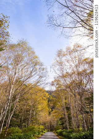 Awa Pass: Beautiful Autumn Scenery (Old National Route 158) 119628413