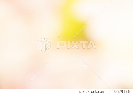 Image of a yellow flower field (stock photo) 119629156