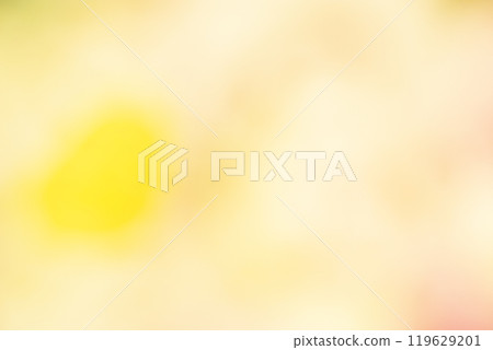 Image of a yellow flower field (stock photo) Image of a yellow flower field (stock photo) 119629201