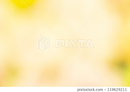 Image of a yellow flower field (stock photo) 119629211