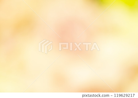 Image of a yellow flower field (stock photo) 119629217